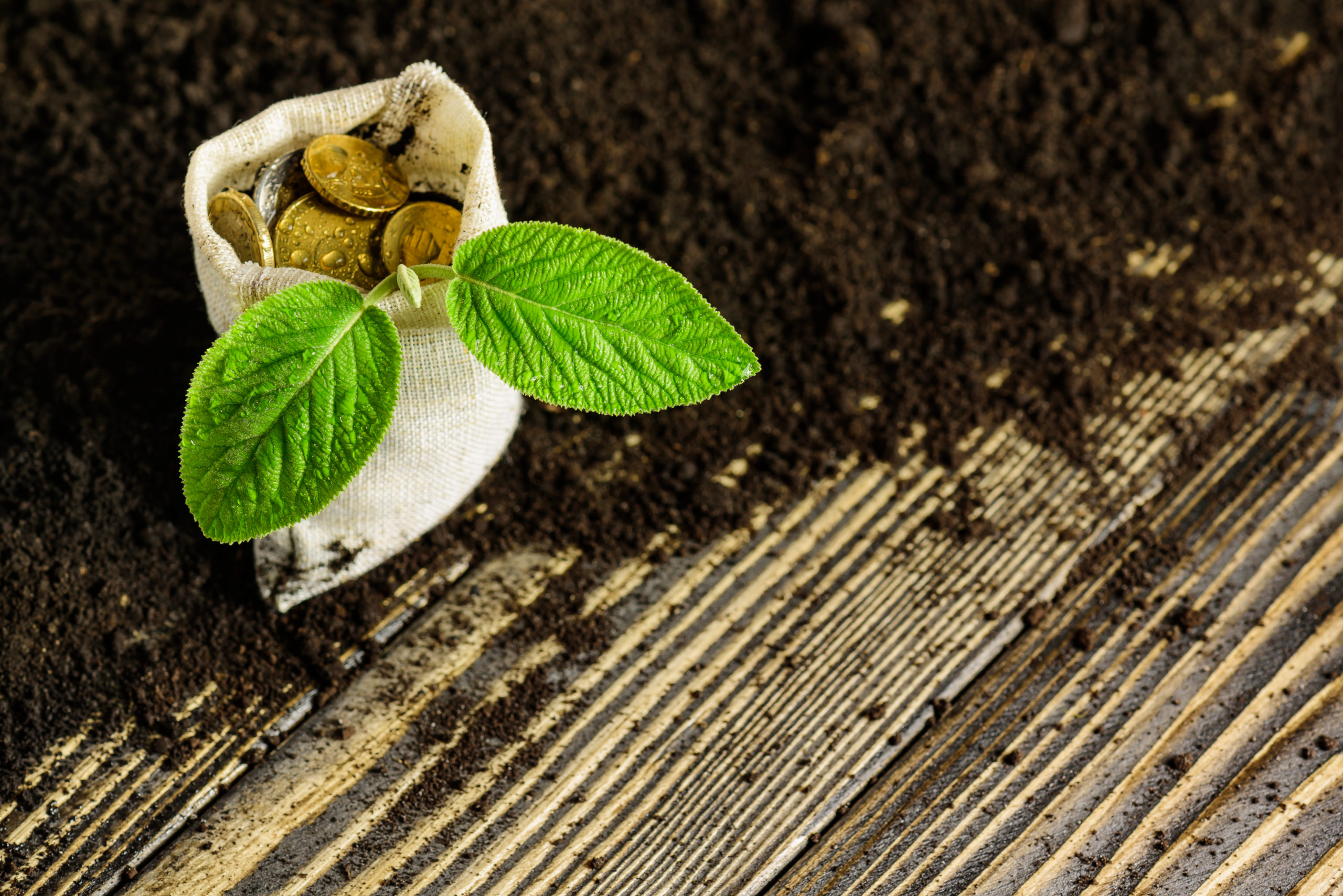 agric-loans