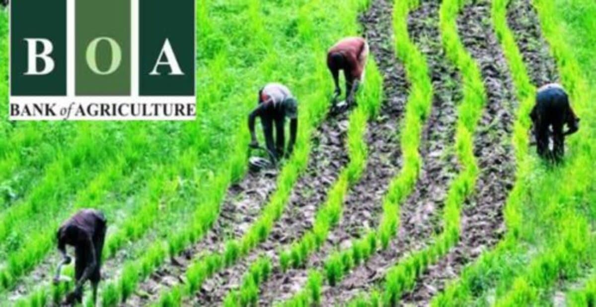 Bank of Agriculture